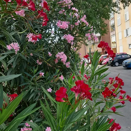 Apartma Eva Apartamento Koper